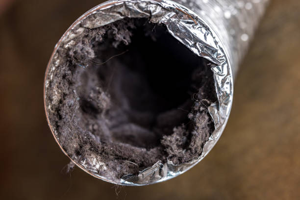 Best Ductwork Cleaning Services  in Harristown, IL