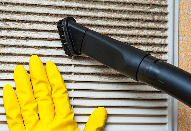 Best Air Duct Sanitizing Services  in Harristown, IL